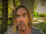 Iggy Pop dévoile "Dirty Little Virus", une chanson rock inédite sur le Coronavirus 