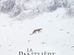 La Panthère des neiges : le docu de Marie Amiguet avec Vincent Munier et Sylvain Tesson
