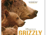 Grizzly