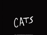Cats à Mogador : notre critique 