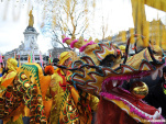 Nouvel an Chinois dans le Marais 2015