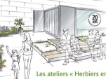 Les ateliers Herbiers en Scène de l’Institut Klorane 