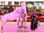 Concours Equi’Star au Salon du Cheval de Paris 2016