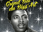 LE GRAND BAL DU BIZZ'ART : CONCERT & DJ'S