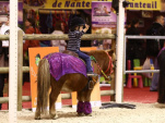 Salon du Cheval 2016 pour les enfants, le programme du Village des enfants