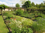 Explorez ce conservatoire botanique à l'occasion des Rendez-Vous aux Jardins 2026