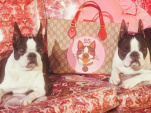 Gucci dévoile une collection exclusive pour célébrer l'année du chien