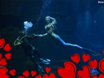 Saint-Valentin 2018 à l'Aquarium de Paris 