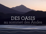 Expo photo : "des Oasis au sommet des Andes" au jardin Villemin