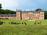 Exposition de Lélia Demoisy au Domaine de Chamarande : Récits de Forêts