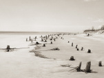 Corps littoral : l'exposition de Camille Guichard à la galerie Rachel Hardouin
