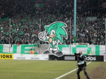 ASSE : L'avis des supporters stéphanois