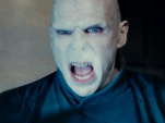 Harry Potter et les reliques de la mort - partie 2 : Ralph Fiennes
