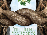 L'intelligence des Arbres : avant-premières et débats