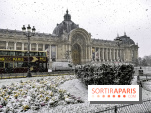 La Neige à Paris