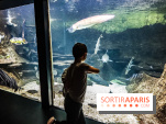 L'Aquarium de la Porte Dorée se renouvelle