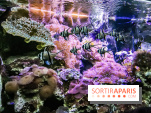 L'Aquarium de la Porte Dorée se renouvelle