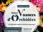 Exposition-vente d'orchidées au Parc Floral de Paris