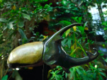 Exposition de sculptures aux Grandes Serres du Jardin des Plantes