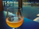 Un Beer Tour avec balade et dégustations au Canal de l'Ourcq
