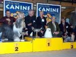 Un Salon International du chien Porte de Versailles