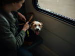 Animaux dans le RER ou le Métro : quelles sont les règles ?