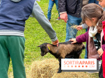 Festival de la Terre 2026 à Montesson (78) : marché des saveurs, ateliers jardinage & ferme pédagogique