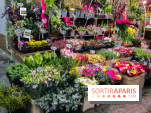 Visuel Paris marché d'Aligre fleurs