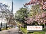 Visuel Paris Tour Eiffel cerisiers en fleurs