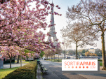 Visuel Paris Tour Eiffel cerisiers en fleurs