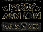 Soirée, Paris,Toxic, After Show, Birdy Nam Nam, BNN