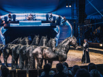 Les Folies Gruss : spectacle équestre à Paris, saison 2026-2027