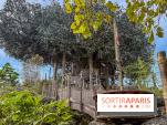 Visuels Disneyland Paris - La Cabane des Robinson