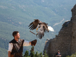 aigle spectacle