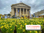 Une Jonquille pour Curie au Panthéon