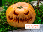 Halloween 2020 : comment creuser sa citrouille ? Le tuto