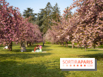 Le Parc de Sceaux et ses cerisiers en fleurs