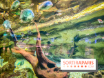 L'Aquarium Tropical de la Porte Dorée