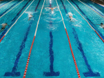 Championnats d'Europe de natation 2026 à Paris : sur quelle chaine regarder la compétition ?