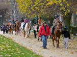 Cheval dans la ville, Parc de Choisy, Equitation, Sport, Paris