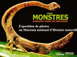 Mini Monstres, Jurassik Park, Amazonie, Exposition, Paris, Museum National d'Histoire Naturelle