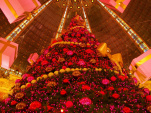 Noël 2009 aux Galeries Lafayette