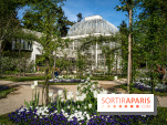 Les jardins du Musée Albert Kahn, nos photos 