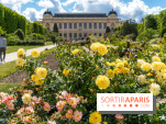 Photos La roseraie du Jardin des Plantes 
