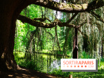 Arboretum de la Vallée-aux-Loups, une balade au milieu des arbres remarquables