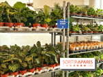 Plantes pour Tous, les prochaines ventes de plantes à partir de 2€ à Paris