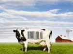 Food, Inc