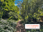 Balade sur la Petite Ceinture du 14 au 16e arrondissement : un sentier nature dépaysant