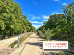 Balade sur la Petite Ceinture du 14 au 16e arrondissement : un sentier nature dépaysant