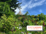 Visuels Paris - montmartre sacré cœur